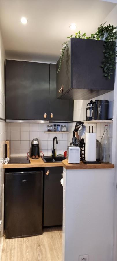 Апартаменты Studio En Rdc - Quai De Garonne - Capitole - Wifi Тулуза Экстерьер фото