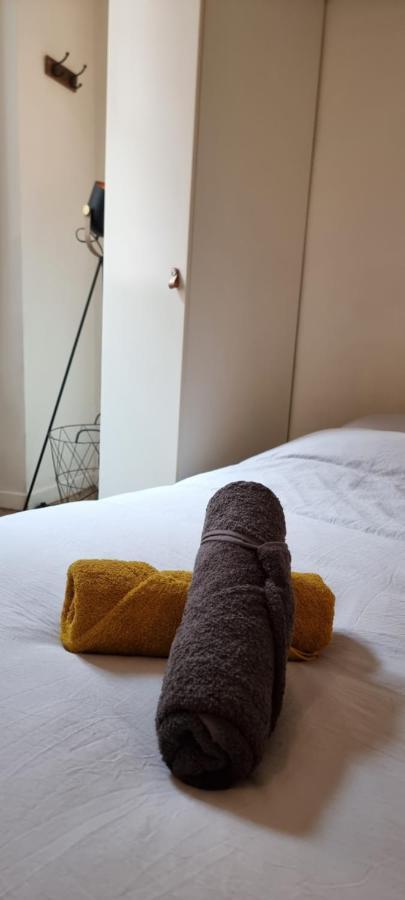 Апартаменты Studio En Rdc - Quai De Garonne - Capitole - Wifi Тулуза Экстерьер фото